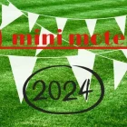 dégradation essence, D mini moteurs